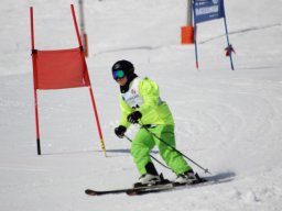 img_6994-1033-800-600-80-rd-255-255-255